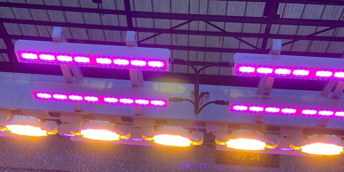 1-min-e1614237626480-9a5e76d1