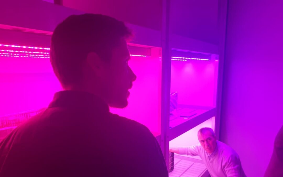 Testing LED light recipes- the video