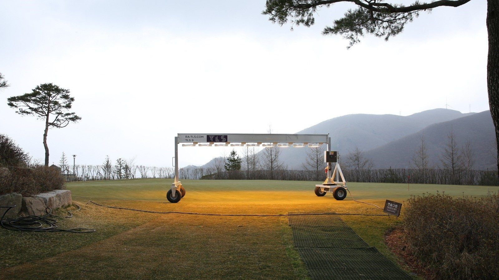 tls-9-golf3-e1589280275282-3532009a